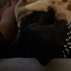 Meet your Posher, Ken